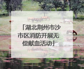 湖北荆州市沙市区消防开展无偿献血活动