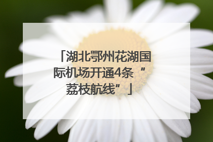 湖北鄂州花湖国际机场开通4条“荔枝航线”