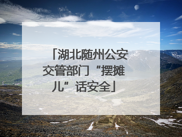 湖北随州公安交管部门“摆摊儿”话安全