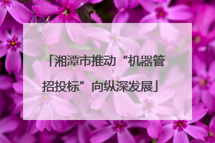 湘潭市推动“机器管招投标”向纵深发展