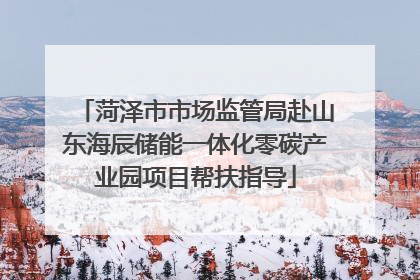 菏泽市市场监管局赴山东海辰储能一体化零碳产业园项目帮扶指导