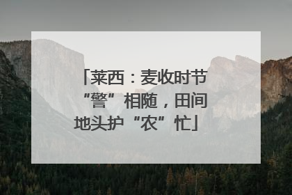 莱西：麦收时节“警”相随，田间地头护“农”忙