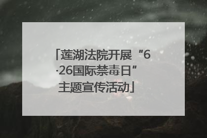 莲湖法院开展“6·26国际禁毒日”主题宣传活动