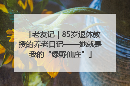 老友记｜85岁退休教授的养老日记——她就是我的“绿野仙庄”