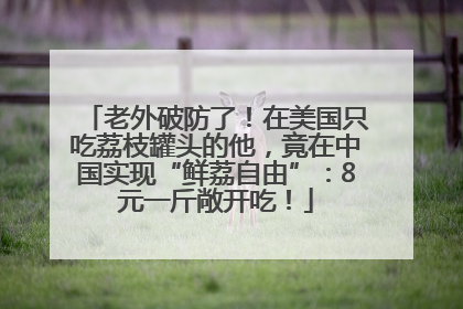 老外破防了！在美国只吃荔枝罐头的他，竟在中国实现“鲜荔自由”：8元一斤敞开吃！