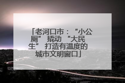 老河口市：“小公厕” 撬动 “大民生” 打造有温度的城市文明窗口