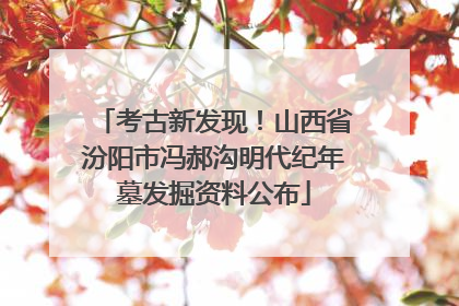 考古新发现！山西省汾阳市冯郝沟明代纪年墓发掘资料公布
