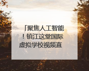 聚焦人工智能！镇江这堂国际虚拟学校视频直播课获韩美伙伴点赞