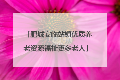 肥城安临站镇优质养老资源福祉更多老人