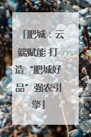 肥城：云端赋能 打造“肥城好品”强农引擎