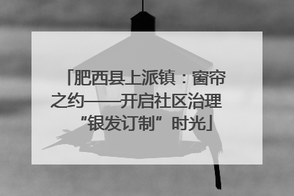 肥西县上派镇：窗帘之约——开启社区治理“银发订制”时光