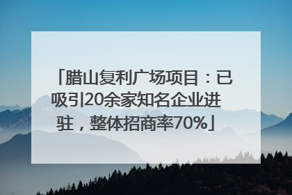 腊山复利广场项目：已吸引20余家知名企业进驻，整体招商率70%