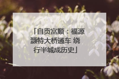 自贡富顺：福源灏特大桥通车 绕行半城成历史