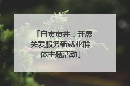 自贡贡井：开展关爱服务新就业群体主题活动