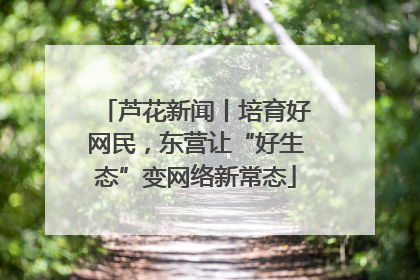 芦花新闻丨培育好网民，东营让“好生态”变网络新常态