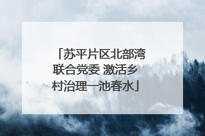 苏平片区北部湾联合党委 激活乡村治理一池春水