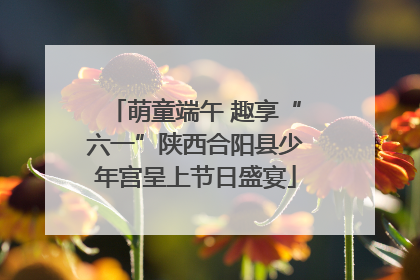 萌童端午 趣享“六一”陕西合阳县少年宫呈上节日盛宴