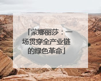 蒙娜丽莎：一场贯穿全产业链的绿色革命