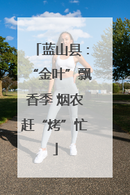 蓝山县：“金叶”飘香季 烟农赶“烤”忙
