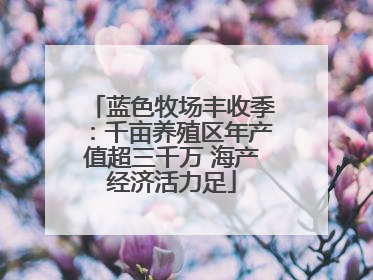 蓝色牧场丰收季：千亩养殖区年产值超三千万 海产经济活力足