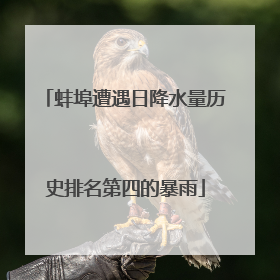 蚌埠遭遇日降水量历史排名第四的暴雨