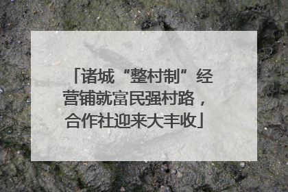 诸城“整村制”经营铺就富民强村路，合作社迎来大丰收