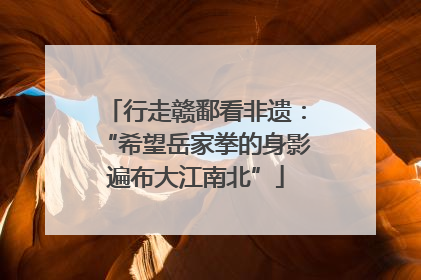 行走赣鄱看非遗：“希望岳家拳的身影遍布大江南北”