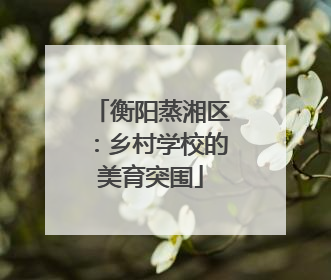 衡阳蒸湘区：乡村学校的美育突围