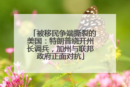 被移民争端撕裂的美国：特朗普绕开州长调兵，加州与联邦政府正面对抗