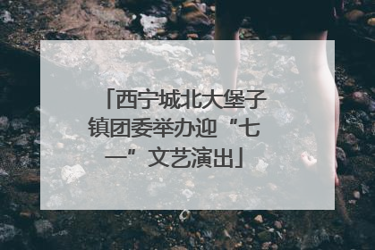 西宁城北大堡子镇团委举办迎“七一”文艺演出