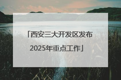 西安三大开发区发布2025年重点工作