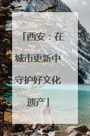 西安：在城市更新中守护好文化遗产