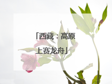 西藏：高原上赛龙舟