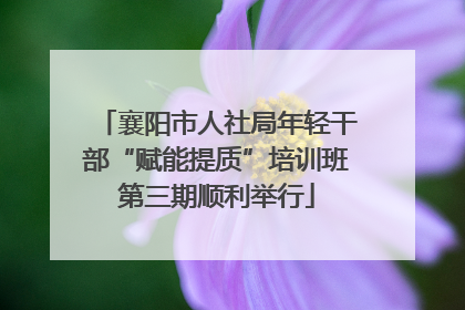 襄阳市人社局年轻干部“赋能提质”培训班第三期顺利举行