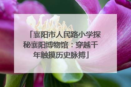 襄阳市人民路小学探秘襄阳博物馆：穿越千年触摸历史脉搏