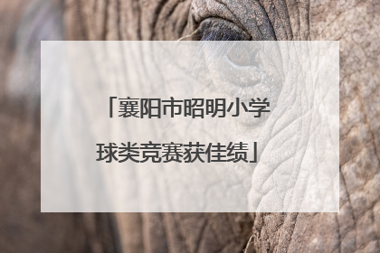 襄阳市昭明小学球类竞赛获佳绩