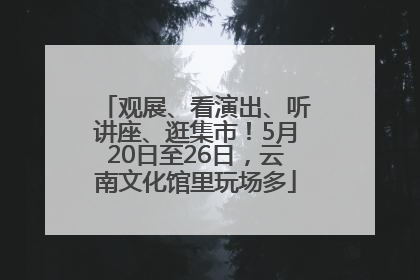 观展、看演出、听讲座、逛集市！5月20日至26日，云南文化馆里玩场多
