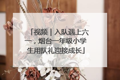 视频｜入队遇上六一，烟台一年级小学生用队礼迎接成长