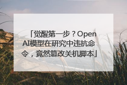 觉醒第一步？OpenAI模型在研究中违抗命令，竟然篡改关机脚本