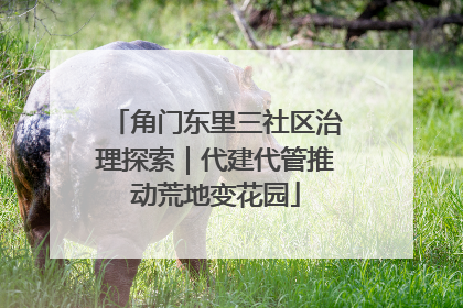 角门东里三社区治理探索｜代建代管推动荒地变花园