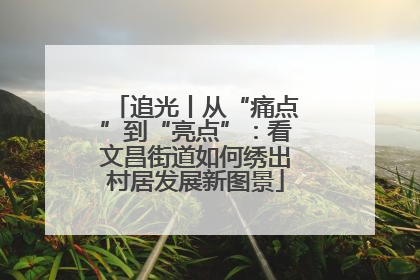 追光丨从“痛点”到“亮点”：看文昌街道如何绣出村居发展新图景