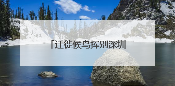 迁徙候鸟挥别深圳北归：单日监测数量最高突破2万只