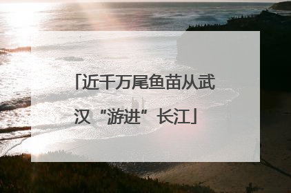 近千万尾鱼苗从武汉“游进”长江
