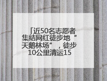 近50名志愿者集结网红徒步地“天鹅林场”，徒步10公里清运150余斤山野垃圾
