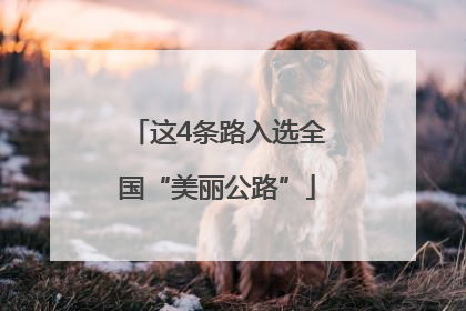 这4条路入选全国“美丽公路”
