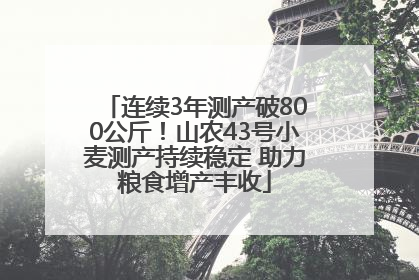 连续3年测产破800公斤！山农43号小麦测产持续稳定 助力粮食增产丰收