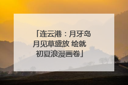 连云港：月牙岛月见草盛放 绘就初夏浪漫画卷