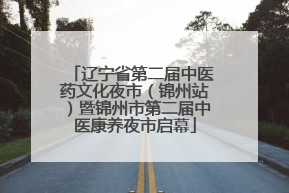 辽宁省第二届中医药文化夜市（锦州站）暨锦州市第二届中医康养夜市启幕