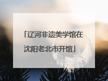 辽河非遗美学馆在沈阳老北市开馆