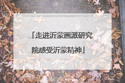 走进沂蒙画派研究院感受沂蒙精神